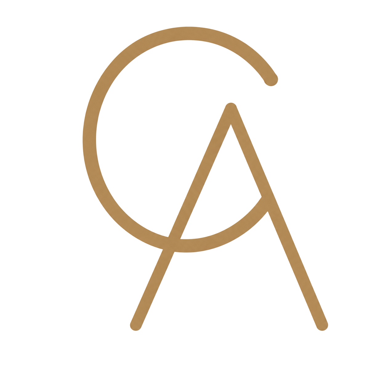 Claudia Almeida Design — Arquitetura & Design de Interiores